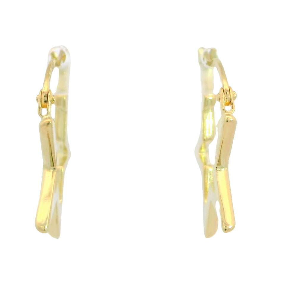 PENDIENTES AROS  ESTRELLA Cod. 750GR-00048